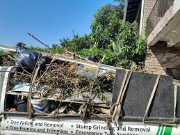 Property Management Cleanouts in Springdale, NC