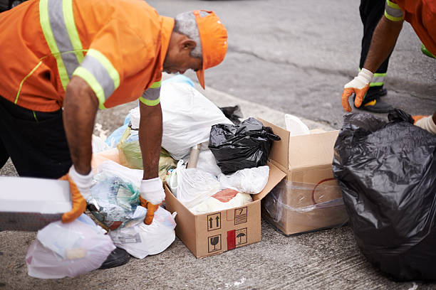 Best Hoarding Cleanup  in Springdale, NC